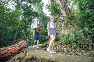 BIB: 
                            <button type="button" onclick="openModal(24809784)" class="btn btn-primary btn-sm float-right btn-popup" data-toggle="modal" data-target=".modal-high-quality">
                        <i class="fas fa-shopping-cart"></i> Add to Cart
                    </button>
                                            <button type="button" onclick="isThisMe(24809784, true)" class="btn btn-success btn-sm float-right btn-popup btn-isme hidden" data-toggle="tooltip" data-placement="bottom" title="นี่คือรูปของคุณใช่ไหม คลิกที่นี่เพื่อเอาเข้าอัลบั้ม">
                        <i class="fas fa-plus"></i> Add to album
                    </button>
                    <button type="button" onclick="isThisMe(24809784, false)" class="btn btn-warning btn-sm float-right btn-popup btn-isnotme hidden">
                        <i class="fas fa-ban"></i> Remove from album
                    </button>